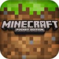 Minecraft PE 0.9.5